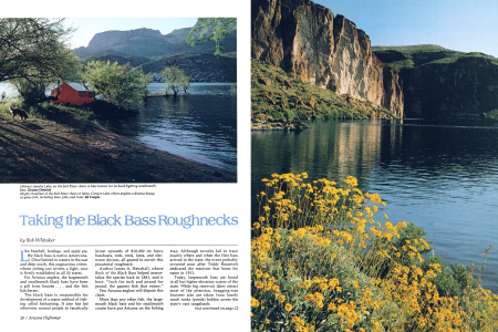 Apache Lake, on the Salt River chain, is best known for its hard-fighting smallmouth bass.