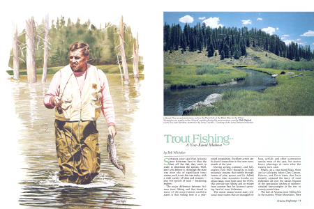 Trout Fishing — A Year-Round Madness