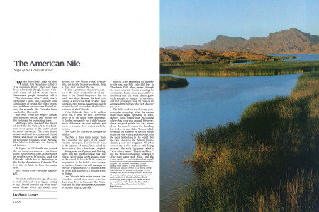 The Havasu National Wildlife Refuge near Parker is only one of many untouched natural scenes to be found along the Colorado River and its byways. A tour through the preserve may produce sightings of beaver, eagles, and, in winter, geese and ducks unlimited.