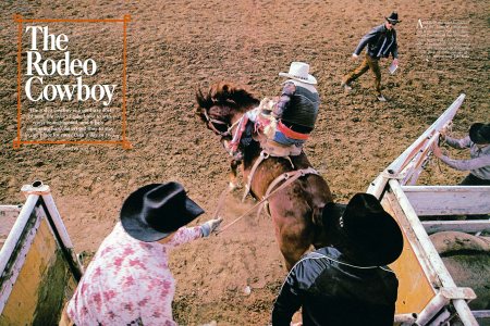 The Rodeo Cowboy