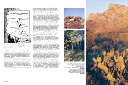 U.S. FOREST SERVICE WILDERNESSES IN ARIZONA