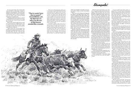 Stampede