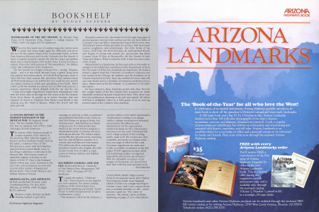 High Country forest in an autumn mood. Hart Prairie, San Francisco Peaks, near Flagstaff