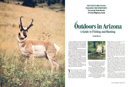 PARADISE FOR SPORTSMEN