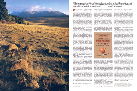 THE WILDERNESS MYSTIQUE