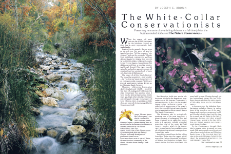 THE WHITE-COLLAR CONSERVATIONISTS