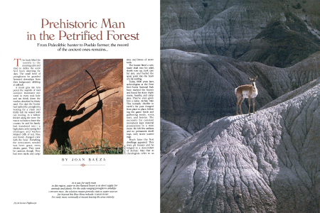 THE RECORD OF PREHISTORY
