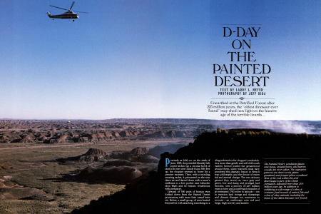 D-DAY ON THE PAINTED DESERT
