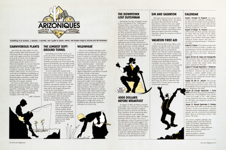 ARIZONIQUES
