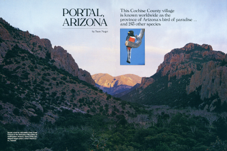 Scenic nook for naturalists: Cave Creek Canyon in the Chiricahua Mountains of southeastern Arizona, home of the rare elegant trogon (INSET).