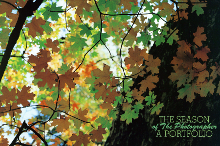 THE SEASON OF THE PHOTOGRAPHER