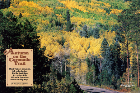AUTUMN ON THE CORONADO TRAIL