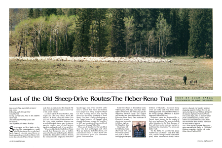 Last of the Old
Sheep-Drive Routes:
The Heber-Reno Trail