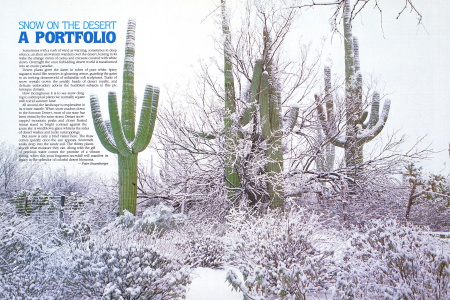 Snow on the Desert: A Portfolio