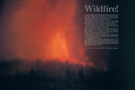 Wildfire!