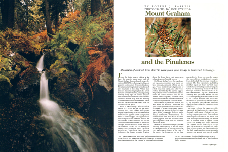 Mount Graham and the Pinalenos