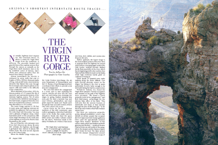 The Ecosystem Doesn't End at the Fence