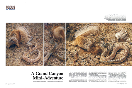 Focus on Nature: A Grand Canyon Mini-Adventure