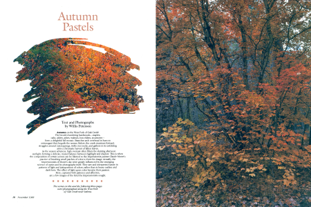 Autumn Pastels
