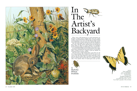 Nature Portfolio: In the Artist's Backyard