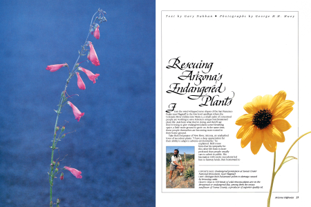 Rescuing Arizona's Endangered Plants