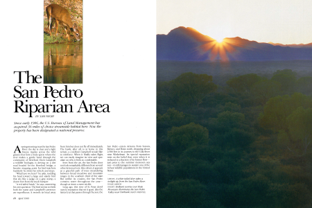 An Aussie Looks at Arizona