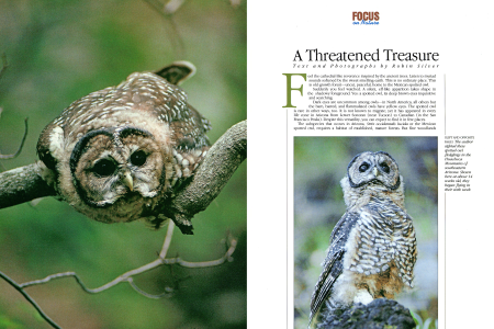 Focus on Nature: Arizona's Spotted Owl