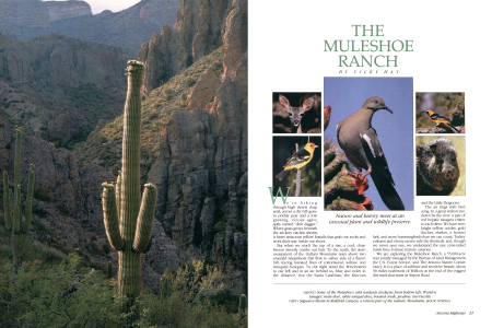 The Muleshoe Ranch and Vicinity
