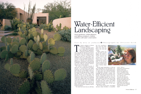 Challenge in the Desert: Water-Efficient Landscaping