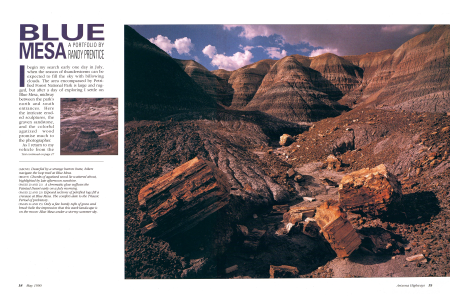 Blue Mesa