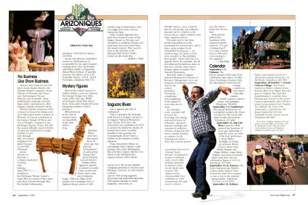 Arizoniques