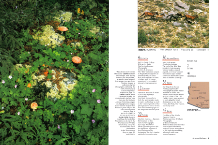 Editor's Page