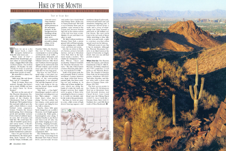 A paloverde provides a shady refuge.