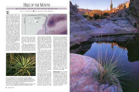 Trailside scenery encompasses a variety of plants, including this agave, or century plant, spiking upward from a clump of ferns. Contrary to the popular belief that it blooms only once every 100 years, the agave may produce its spectacular flowers every 10 or 20 years or never.