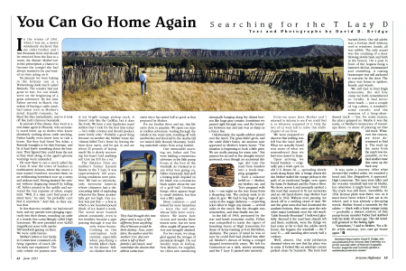 Search for the T Lazy D