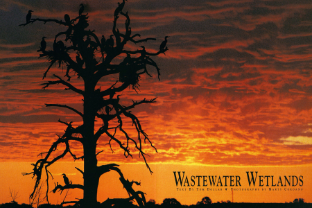 Effluent's Not a Dirty Word