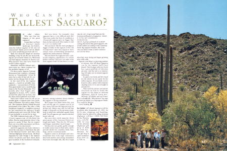 Saguaro Hunting
