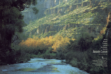 Up the Creek in Aravaipa Canyon