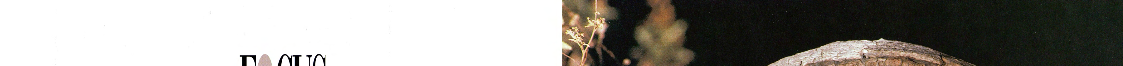 Focus on Nature