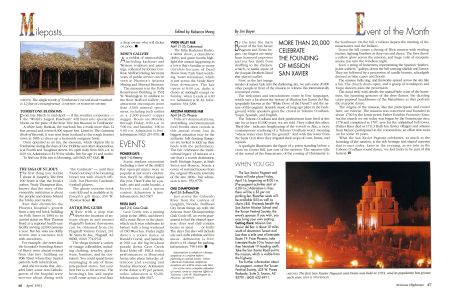 The single trunk of Tombstone's record-book rosebush is 12 feet in circumference.