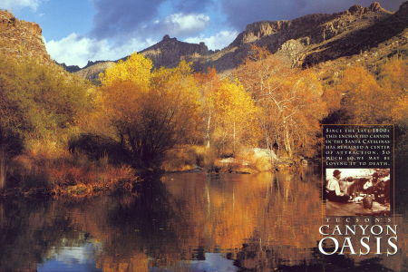 Tucson's Sabino Canyon