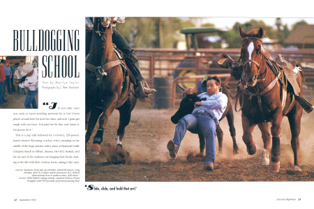 So You Wanna Be a Big-time Steer Wrestler