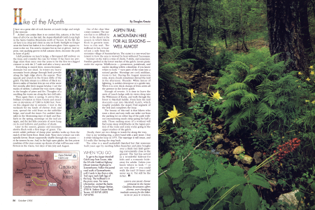 Forest primeval in the Santa Catalina Mountains offers diverse, ever-changing trailside scenery for the biker.