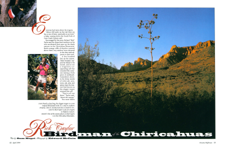 Birdman of the Chiricahuas