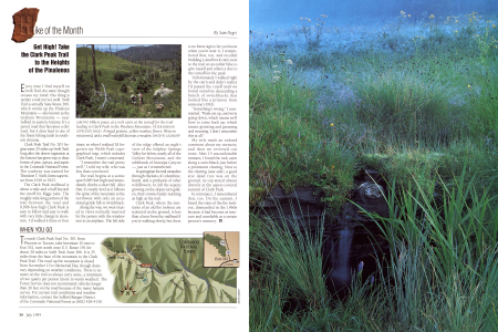 Hikers pause at a rock cairn at the turnoff for the trail leading to Clark Peak in the Pinaleno Mountains.