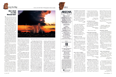 Lightning bolts illuminate the sky above Tucson in this time exposure.