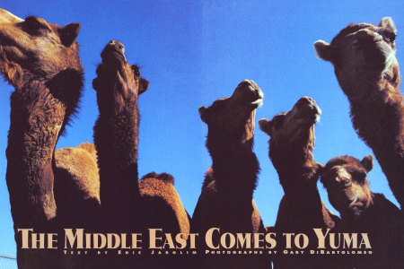 Yuma: It's Where the Camels Are