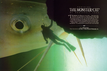 Lake Monster Story Lures Divers