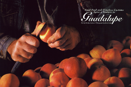 Gathering Fruit in Guadalupe