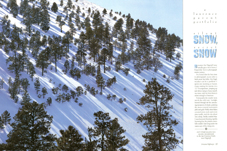 A Northern Arizona Winter Scene
